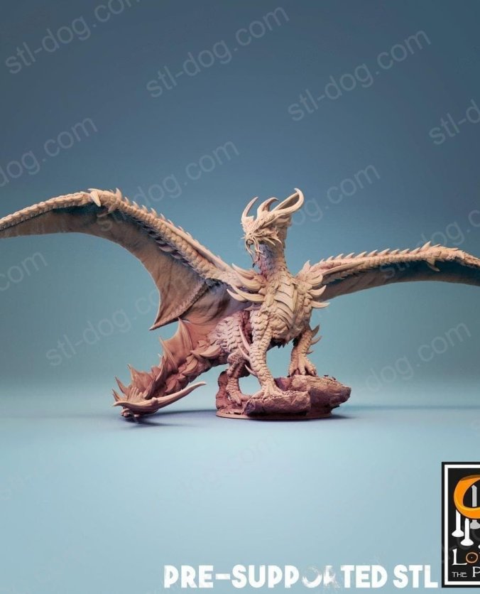 金龙 (Gold Dragon) 3D打印图纸